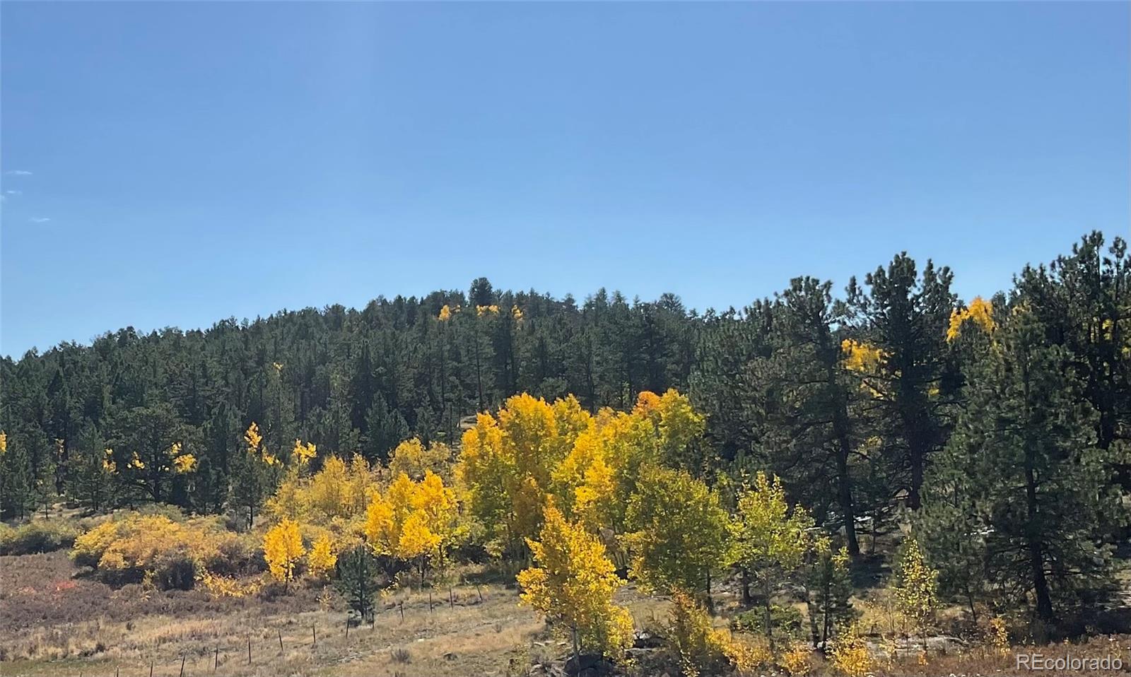 3153 Homestake Place Florissant CO 80816