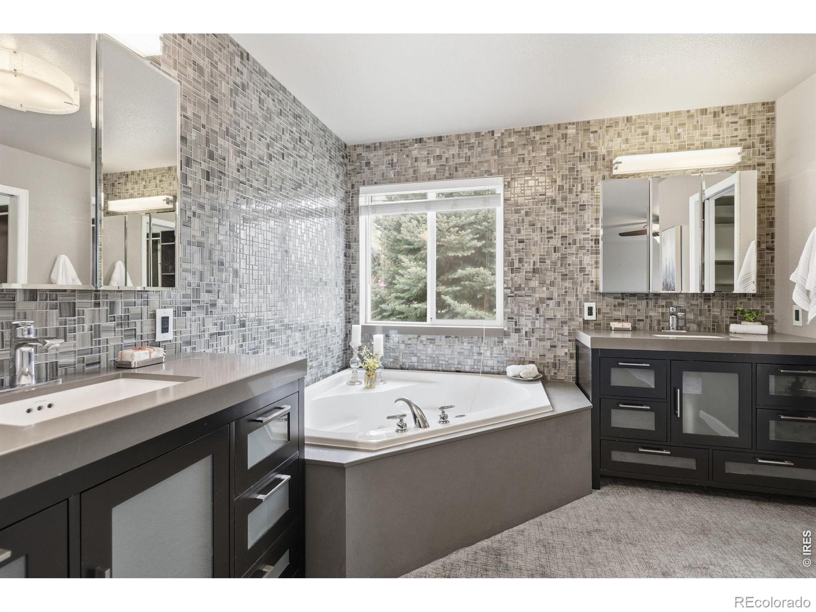 2302 Barn Swallow Drive Longmont CO 80504