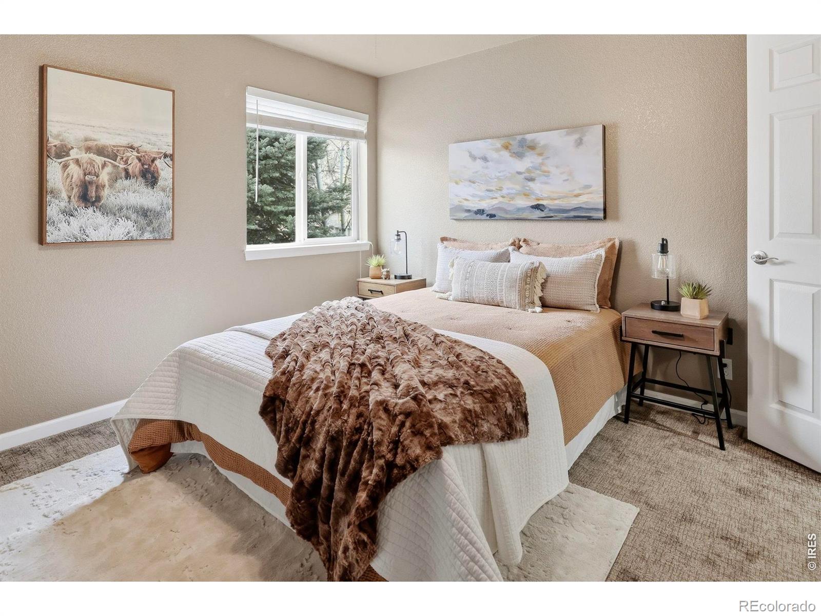 2302 Barn Swallow Drive Longmont CO 80504