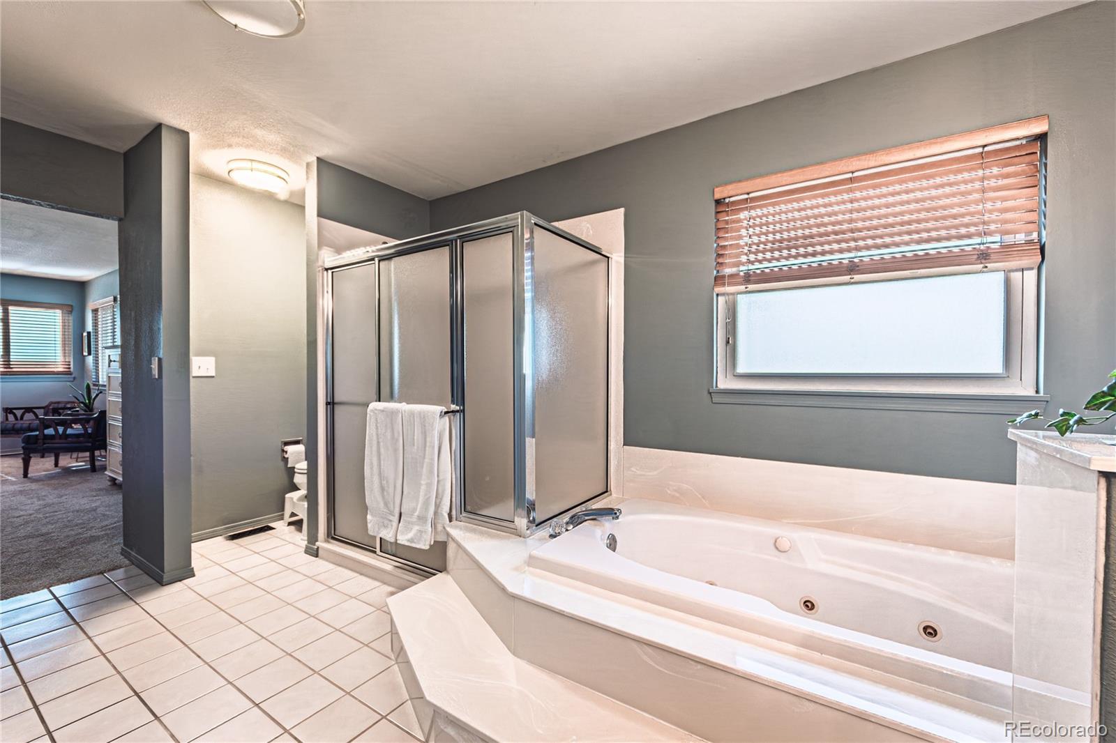 9110 Link Road Fountain CO 80817