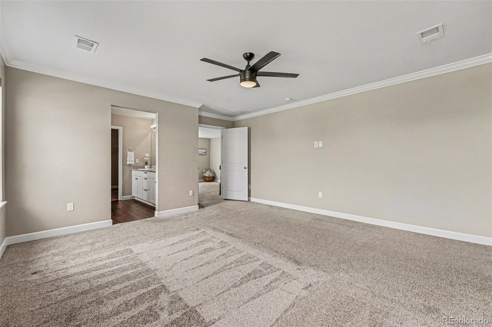 964 White Leaf Circle Castle Rock CO 80108