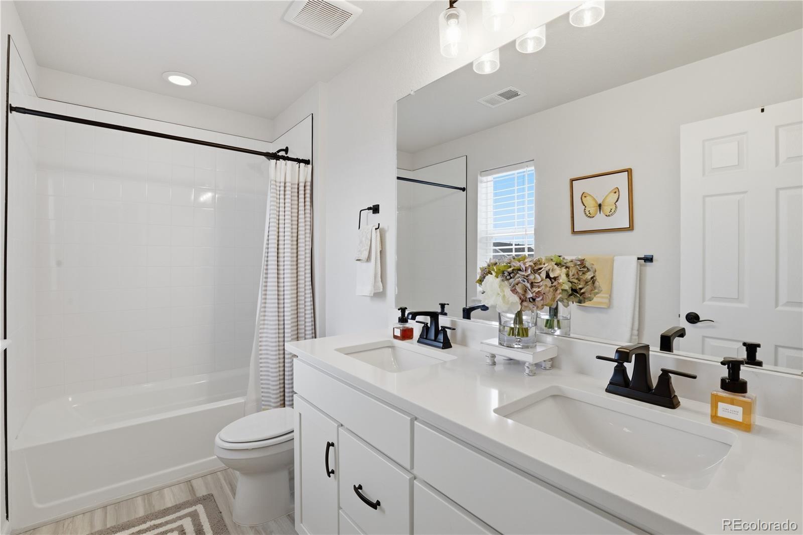915 Oleander Street Castle Rock CO 80109