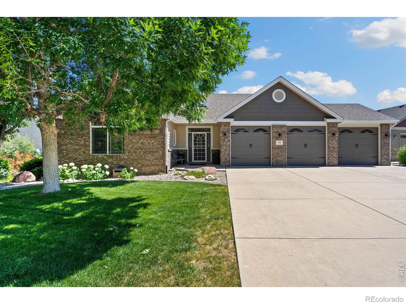 975 Norway Maple Drive Loveland CO 80538
