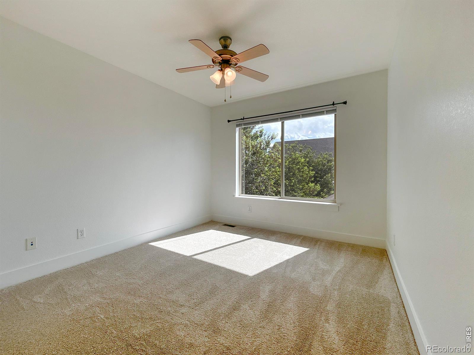 4065 Buffalo Mountain Drive Loveland CO 80538