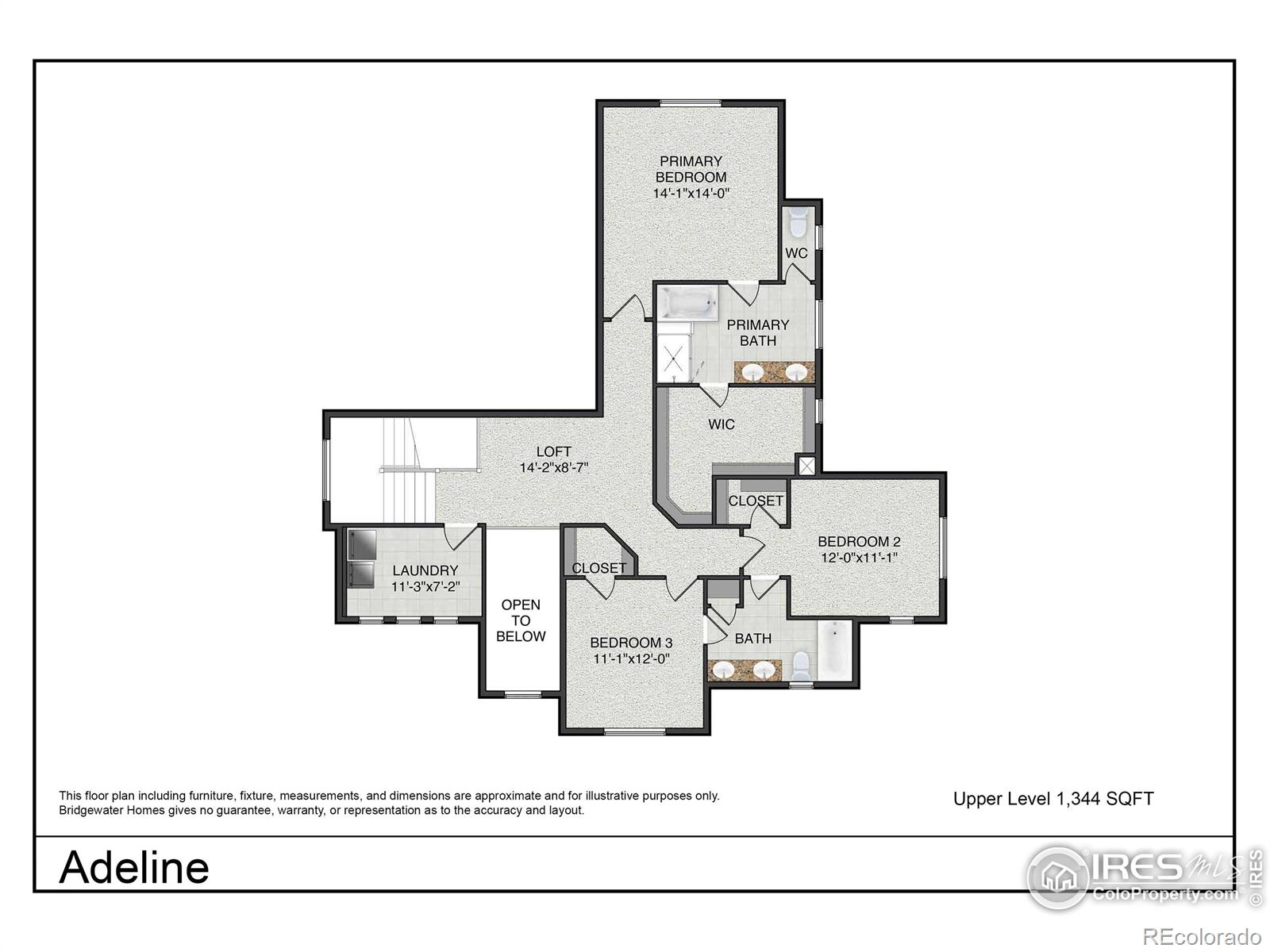 5836 Gianna Drive Timnath CO 80547