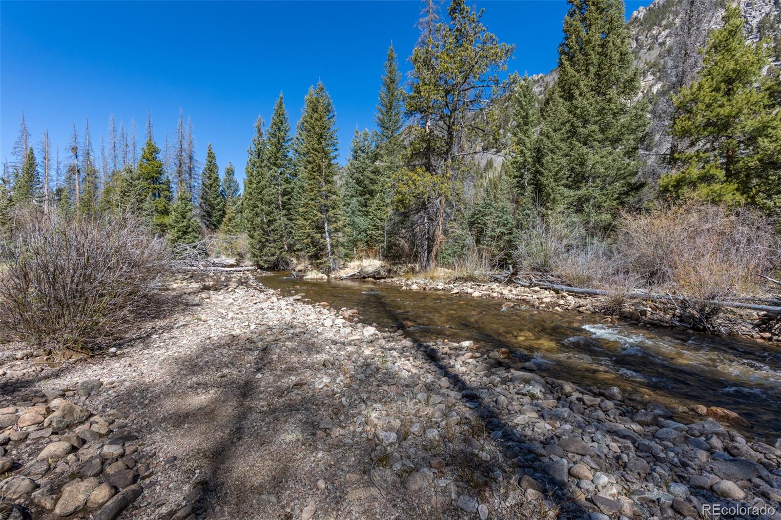 24500 County Road 162 Nathrop CO 81236