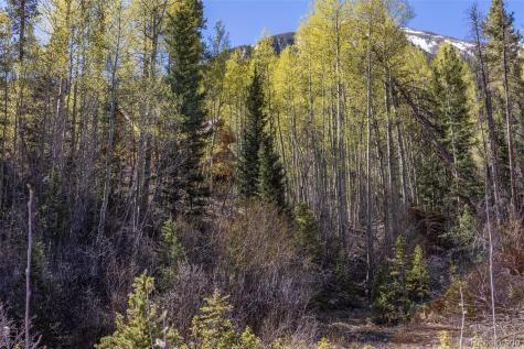 24500 County Road 162 Nathrop CO 81236