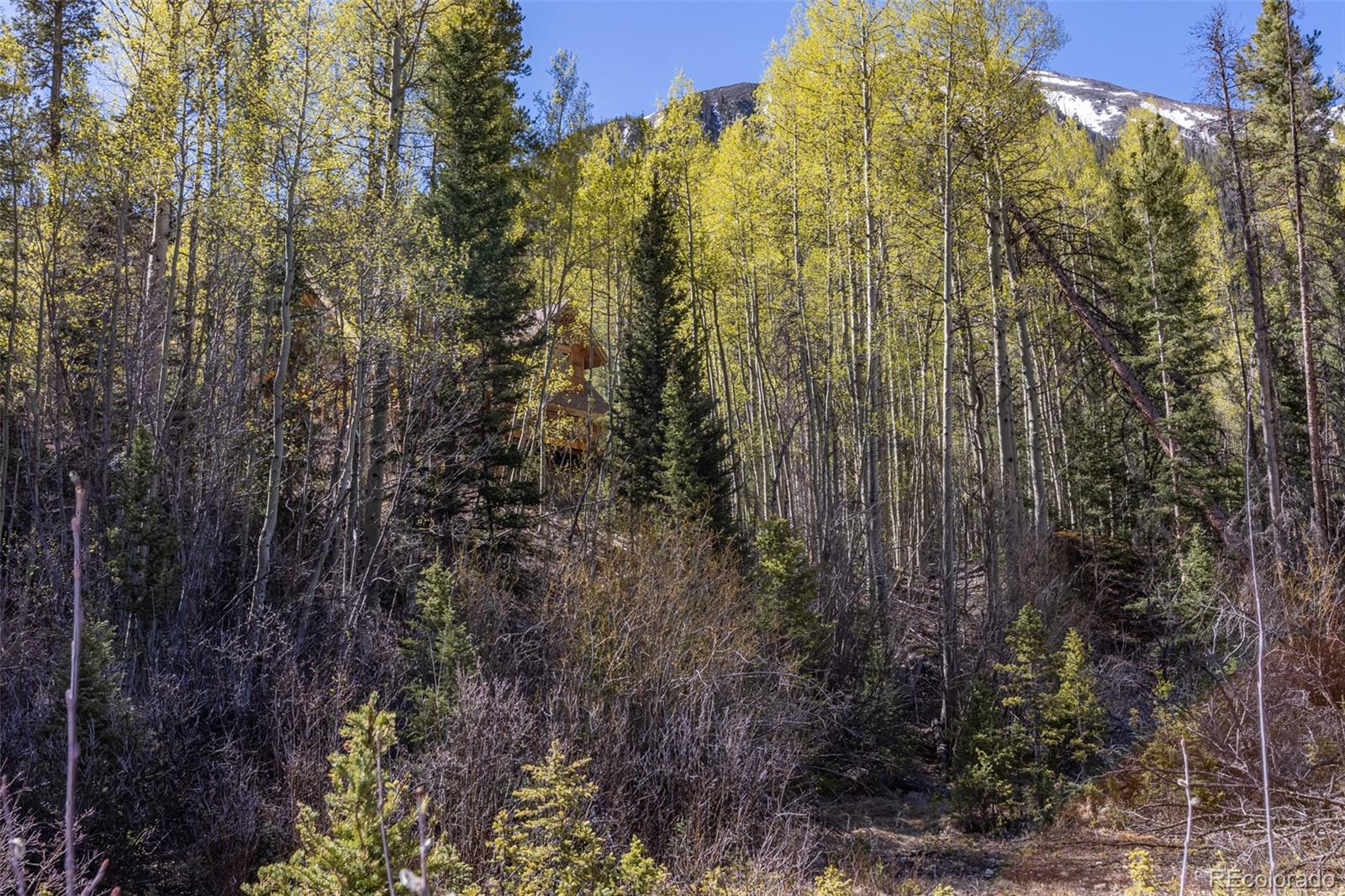 24500 County Road 162 Nathrop CO 81236