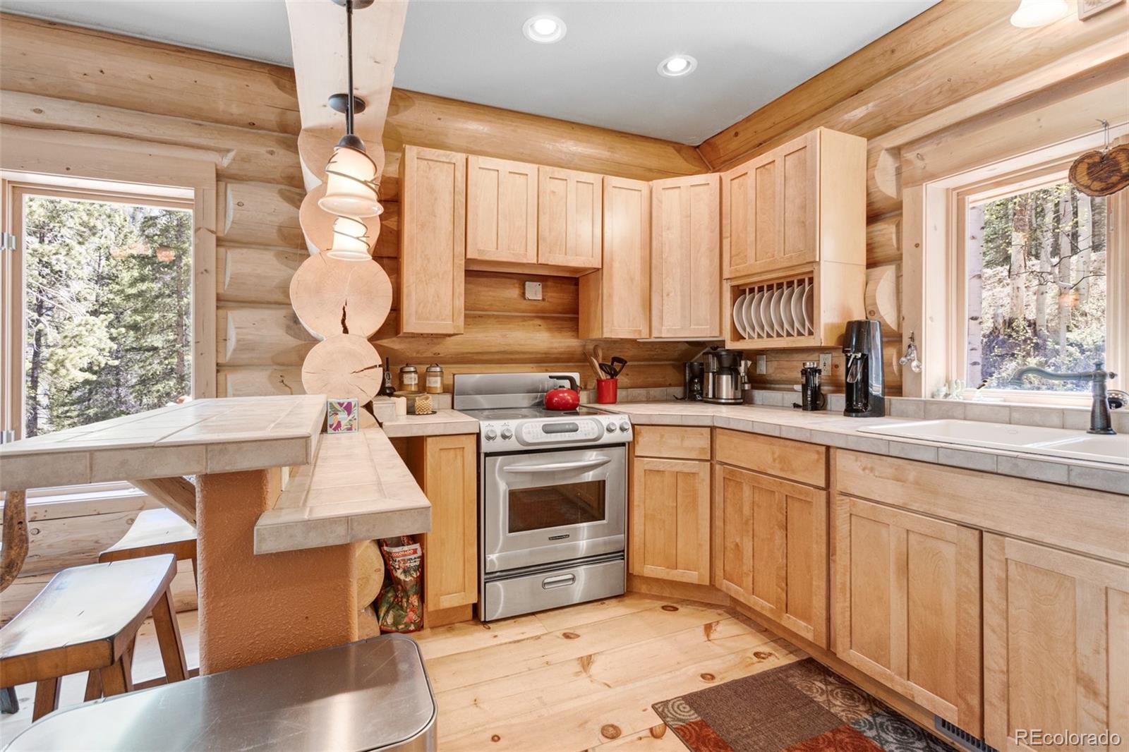 24500 County Road 162 Nathrop CO 81236