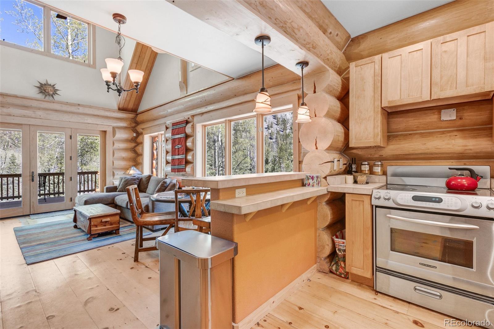 24500 County Road 162 Nathrop CO 81236