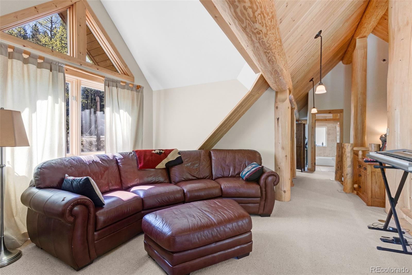 24500 County Road 162 Nathrop CO 81236