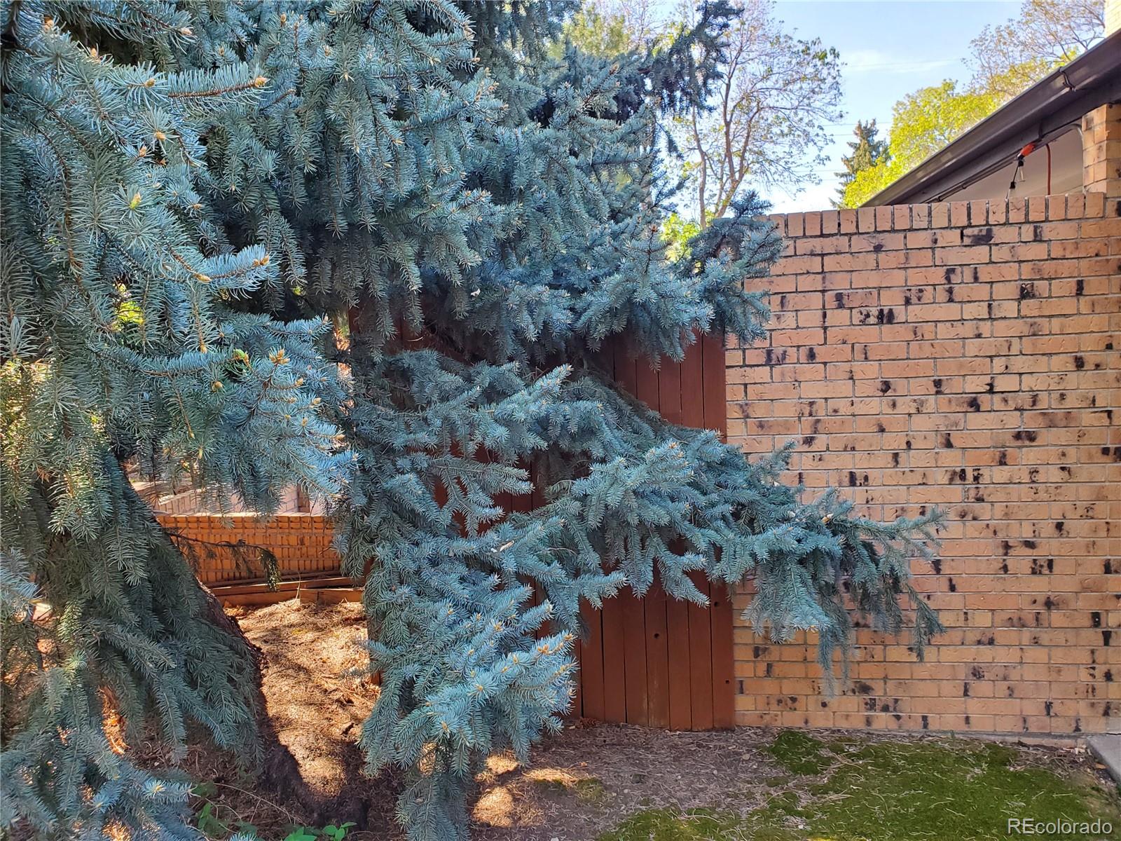 8542 W 10th Avenue Lakewood CO 80215