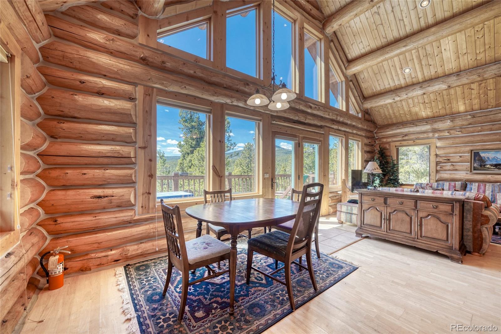 649 County Road 21 Leadville CO 80461