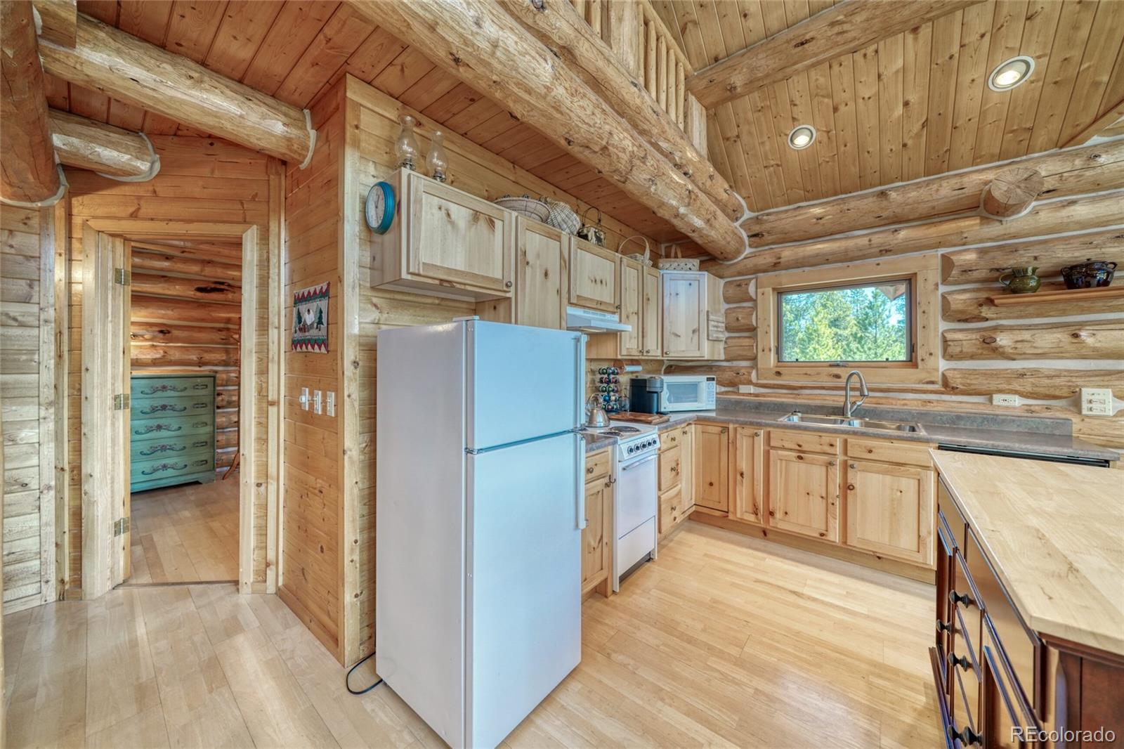 649 County Road 21 Leadville CO 80461