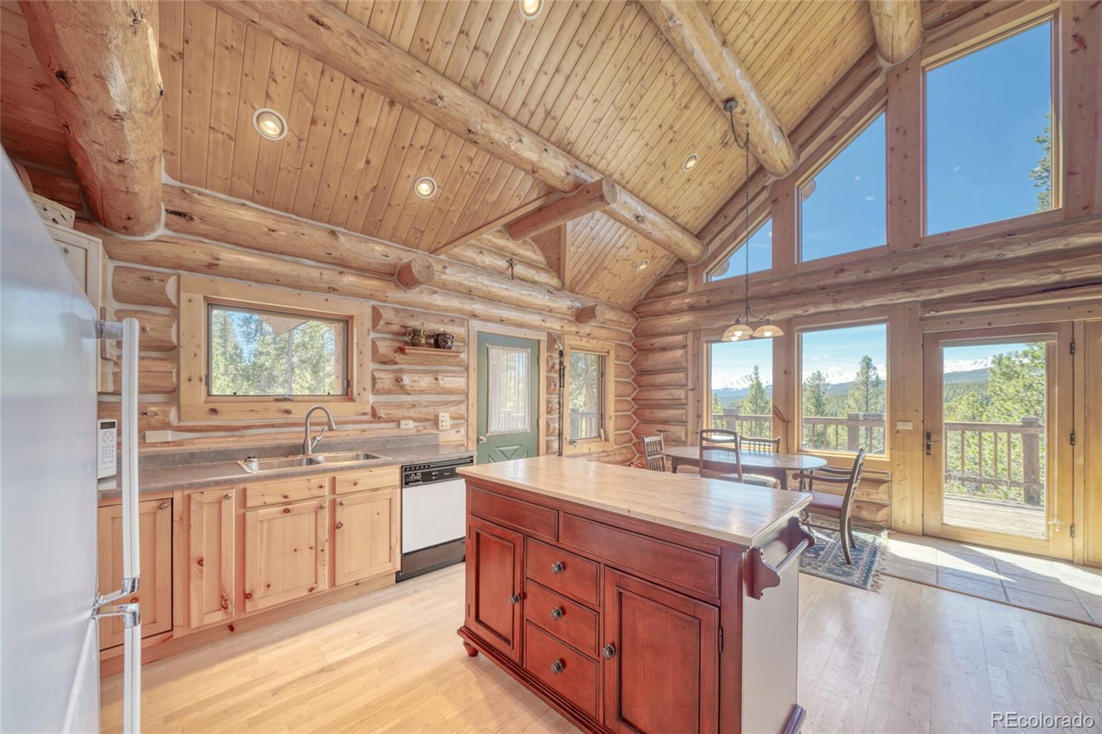 649 County Road 21 Leadville CO 80461
