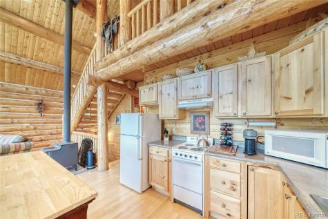 649 County Road 21 Leadville CO 80461