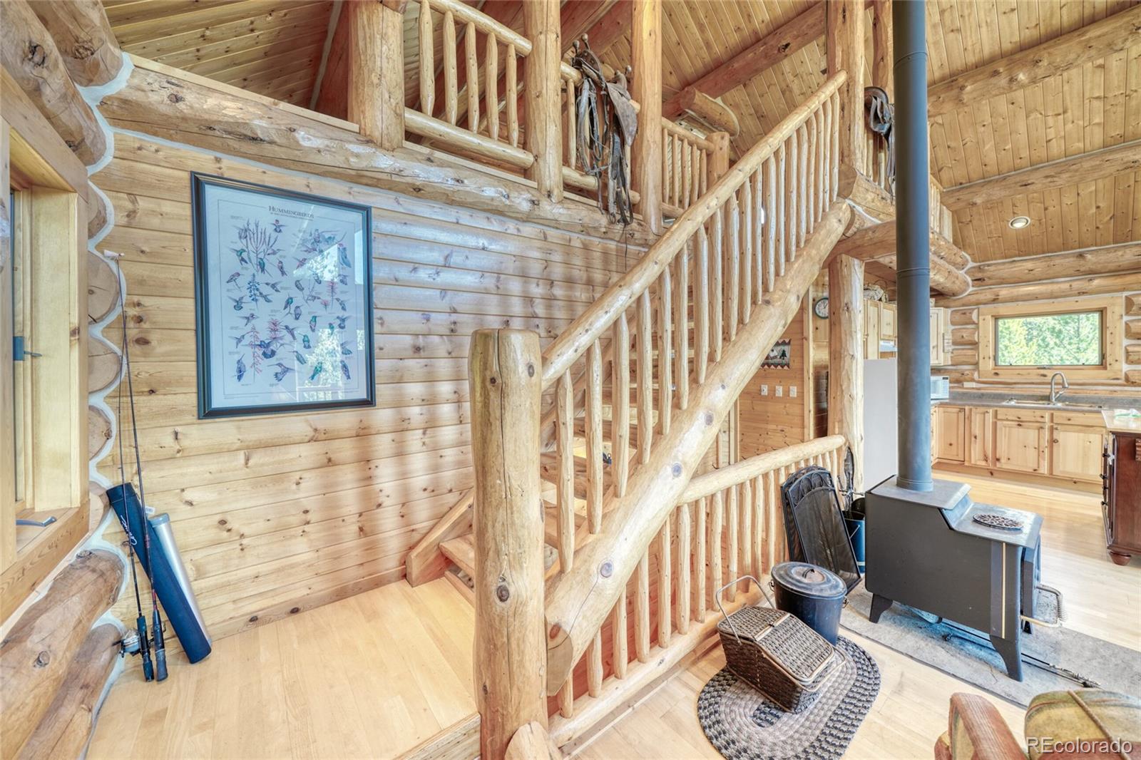 649 County Road 21 Leadville CO 80461