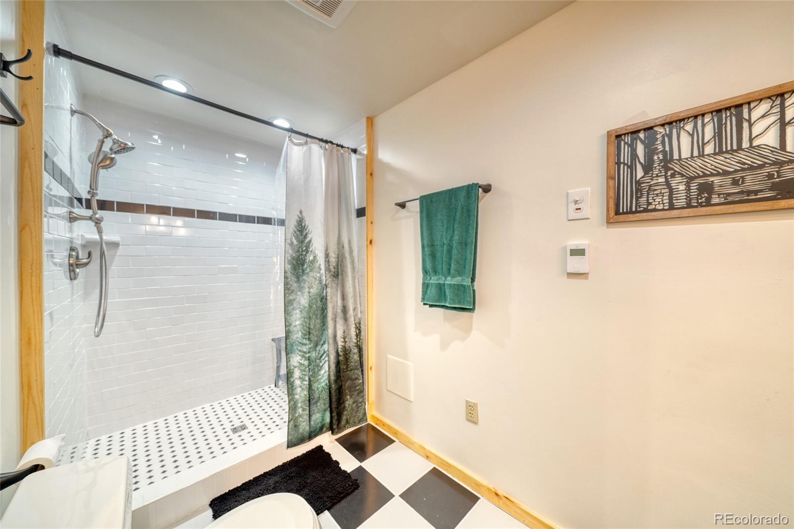 649 County Road 21 Leadville CO 80461