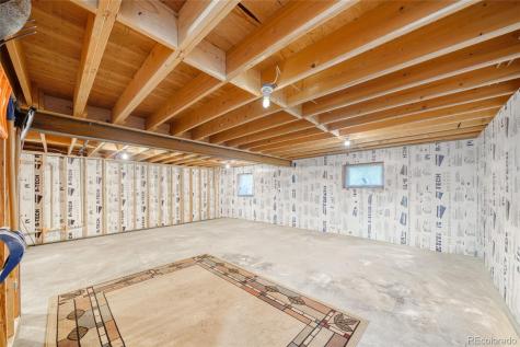 649 County Road 21 Leadville CO 80461