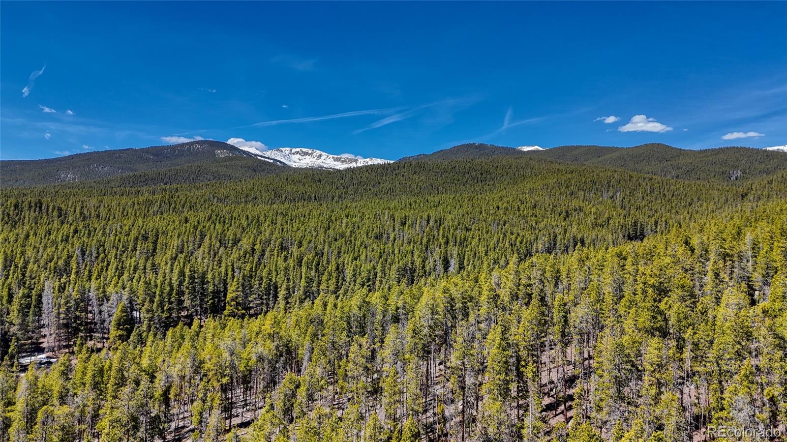649 County Road 21 Leadville CO 80461