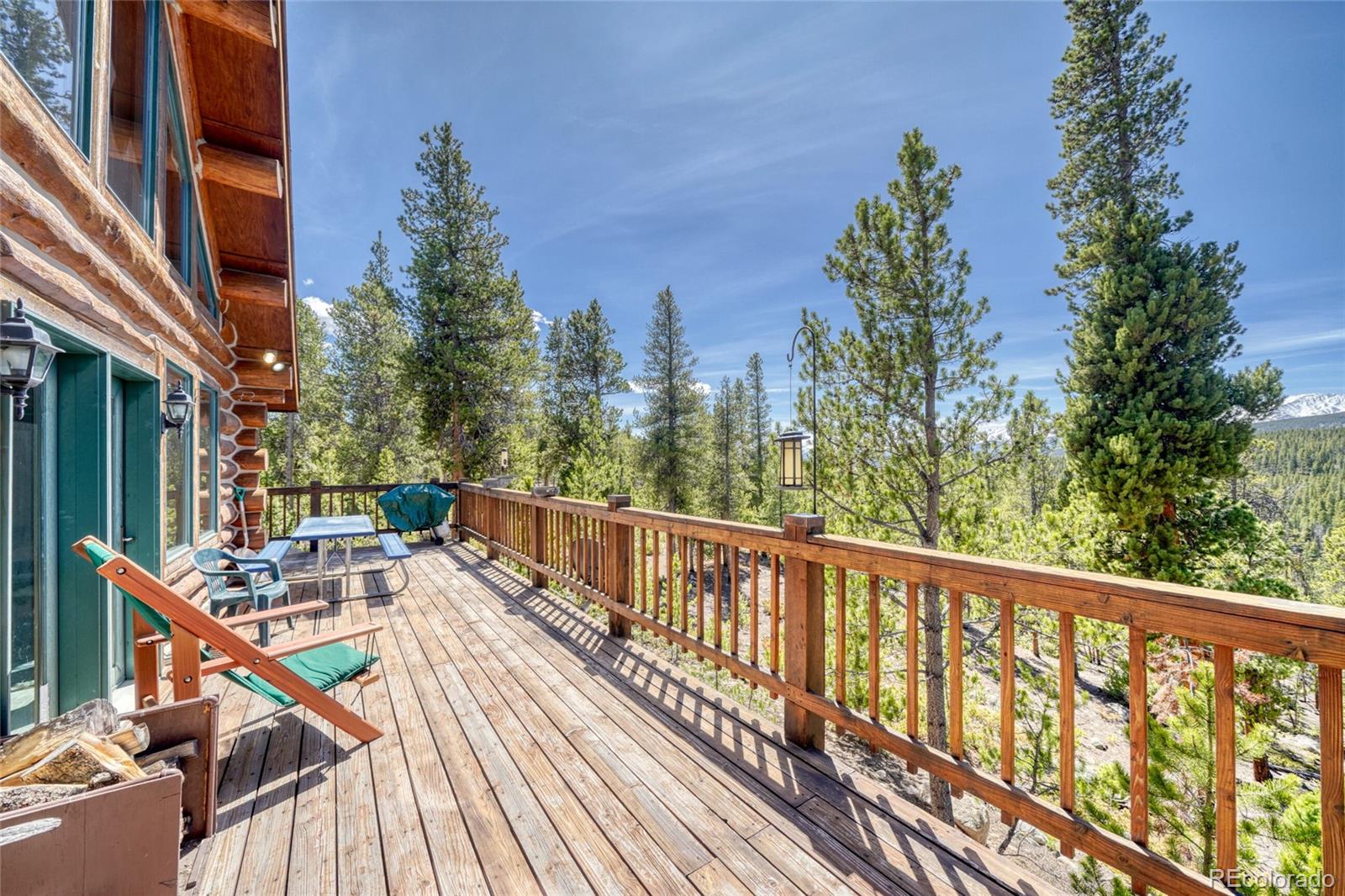 649 County Road 21 Leadville CO 80461