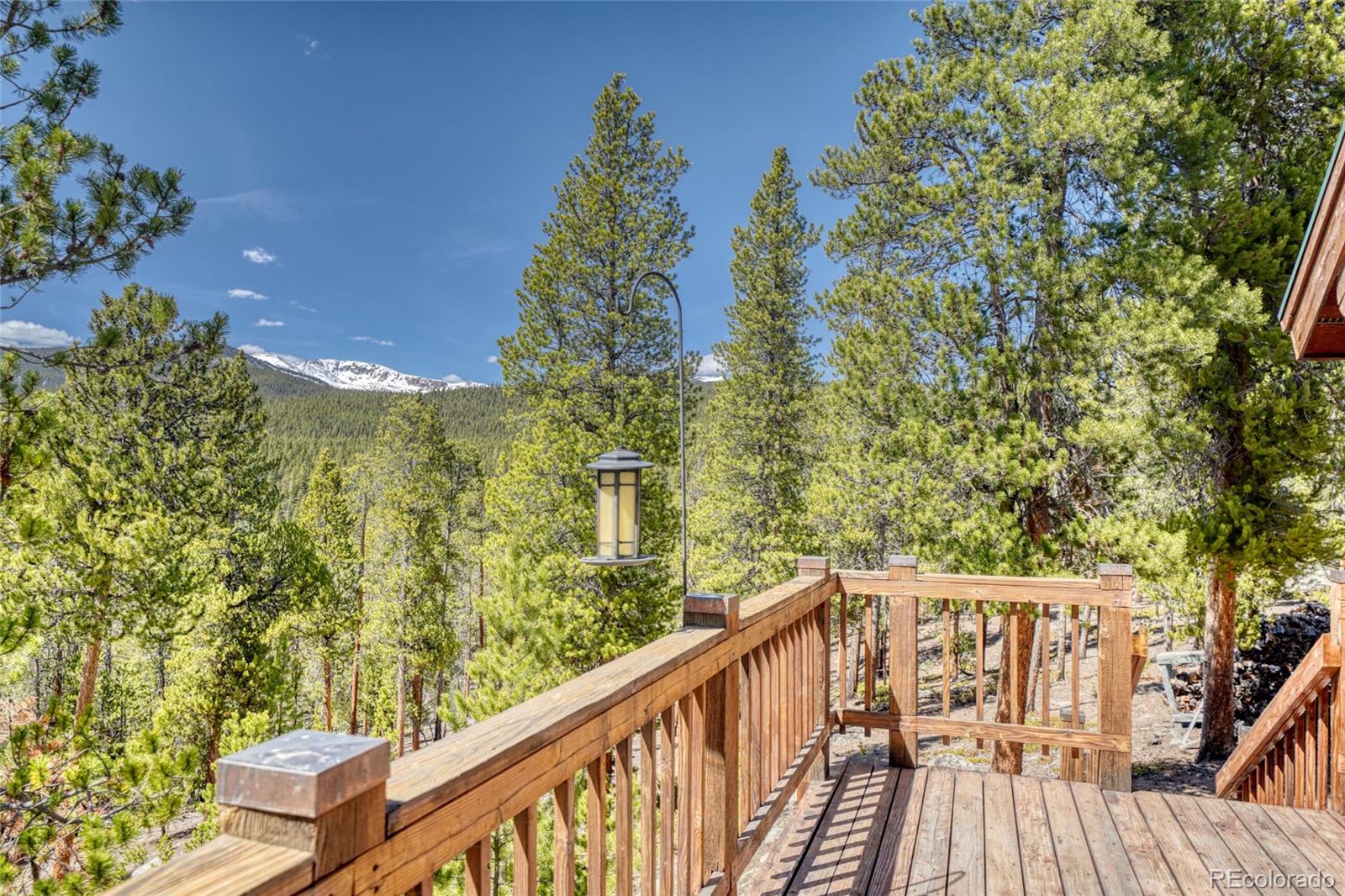 649 County Road 21 Leadville CO 80461
