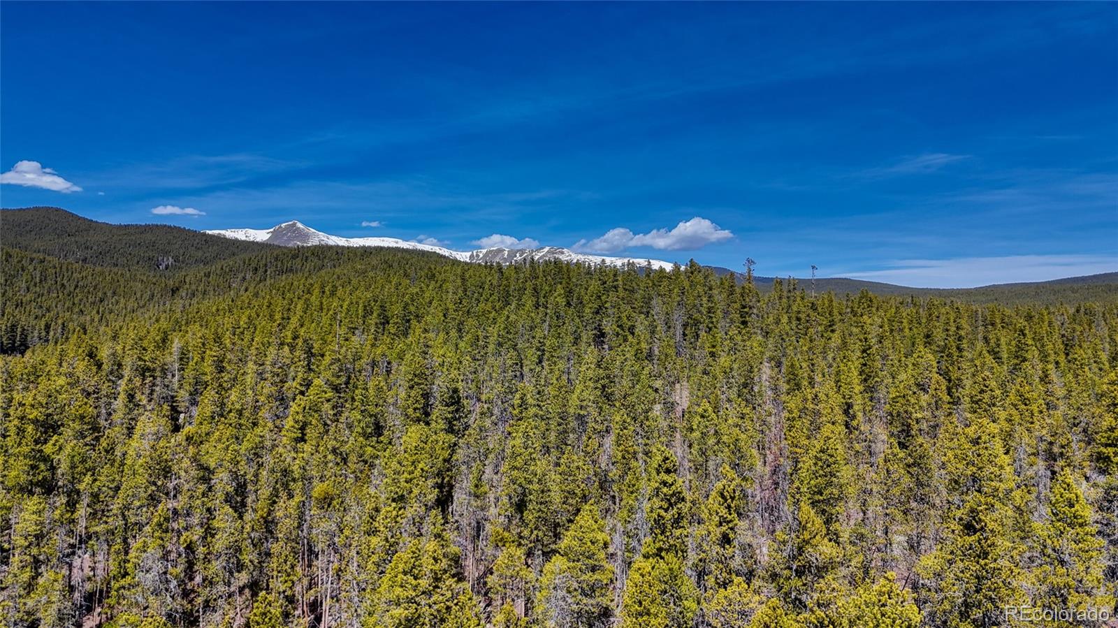 649 County Road 21 Leadville CO 80461