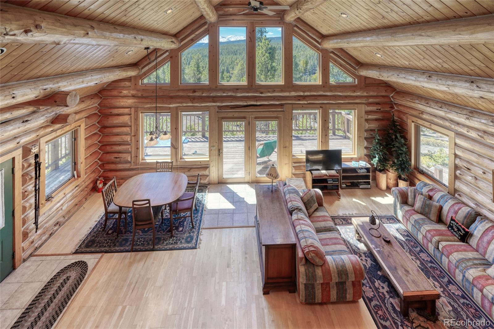 649 County Road 21 Leadville CO 80461