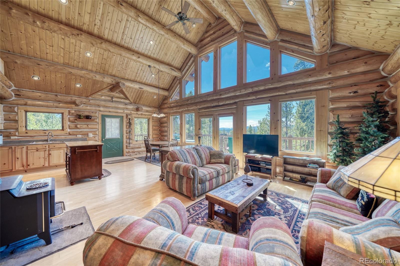 649 County Road 21 Leadville CO 80461