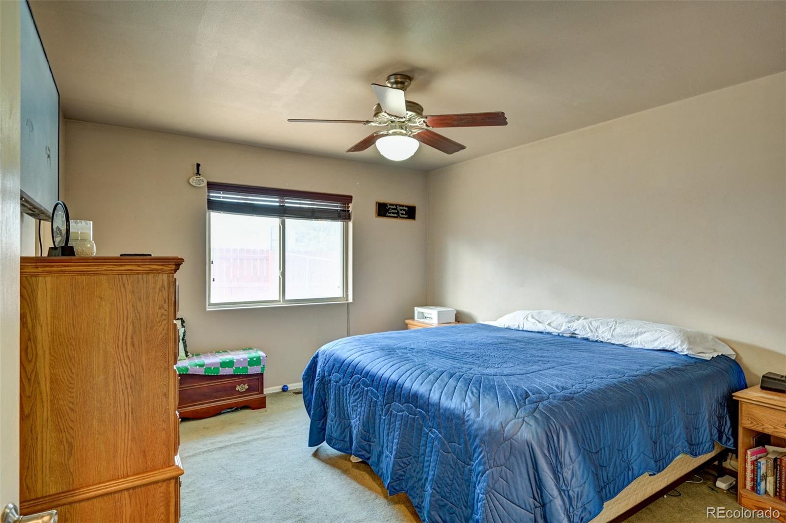 97 Tammie Drive Buena Vista CO 81211