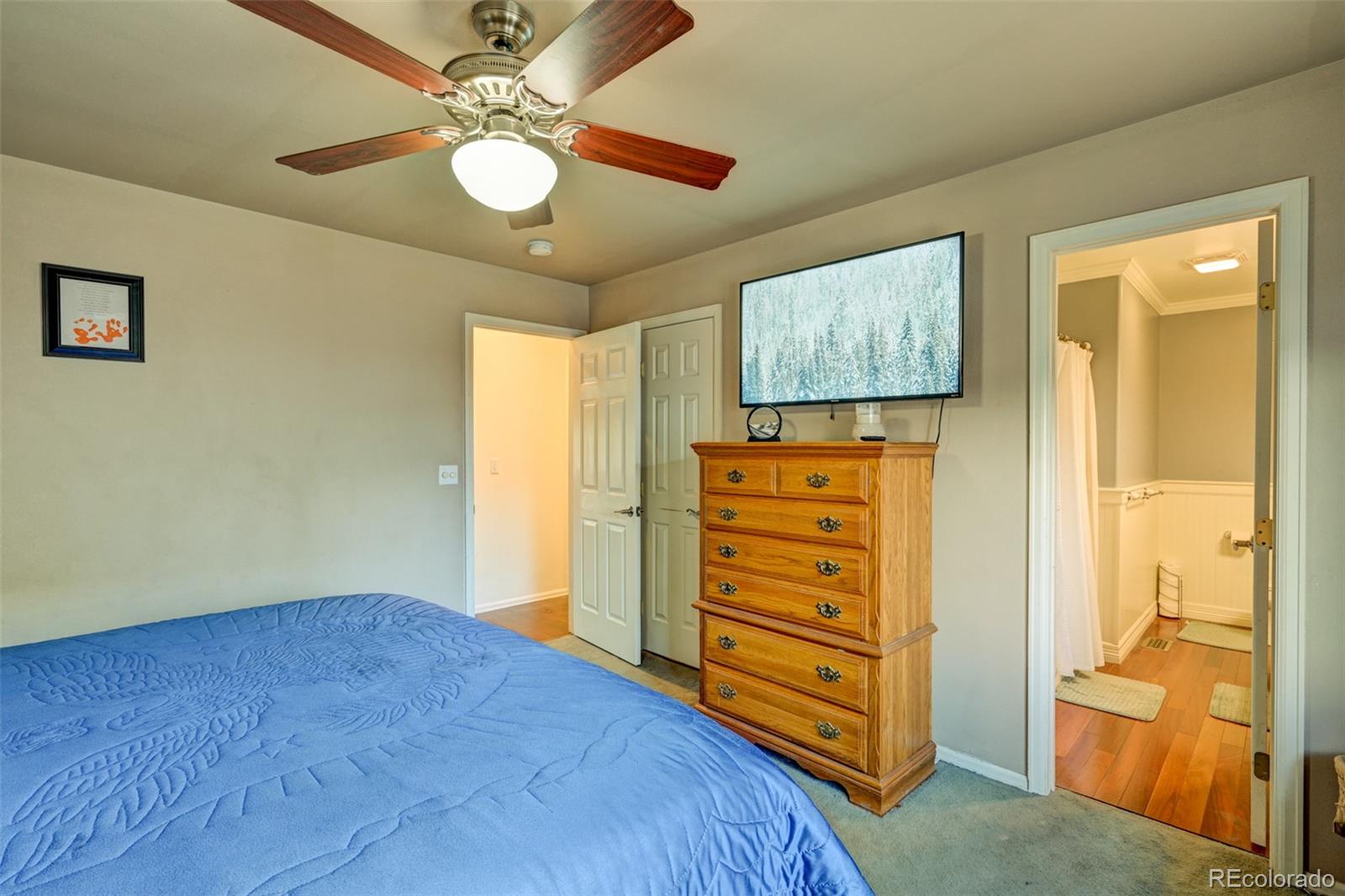 97 Tammie Drive Buena Vista CO 81211