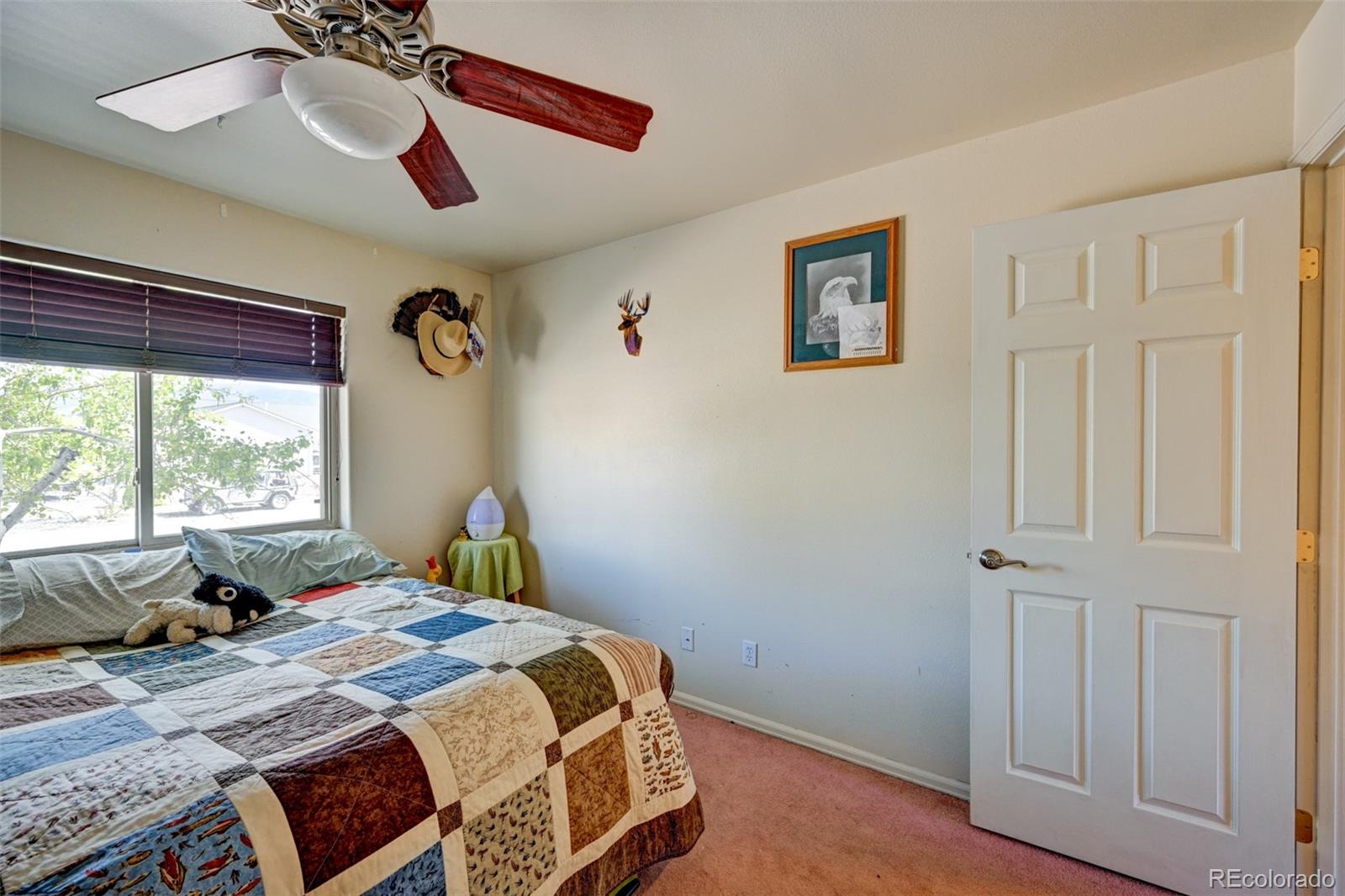 97 Tammie Drive Buena Vista CO 81211