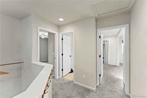 11508 Black Maple Lane Colorado Springs CO 80921