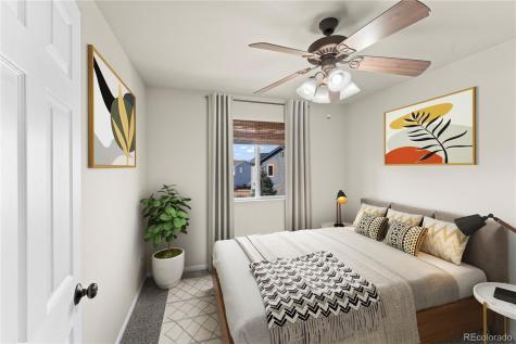 11508 Black Maple Lane Colorado Springs CO 80921