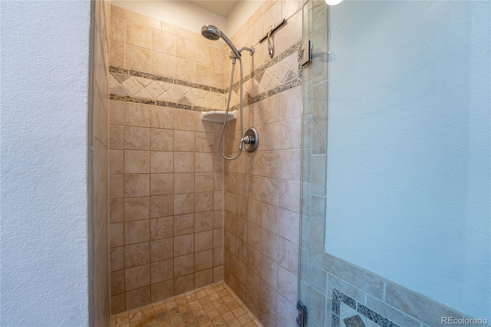 1120 N Bader Court Castle Rock CO 80104