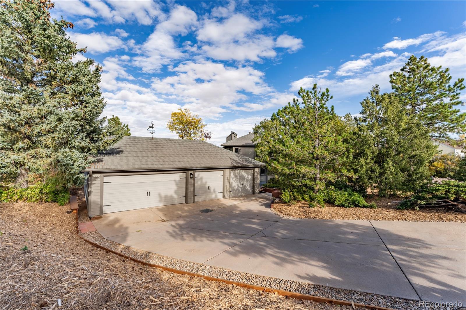 1120 N Bader Court Castle Rock CO 80104