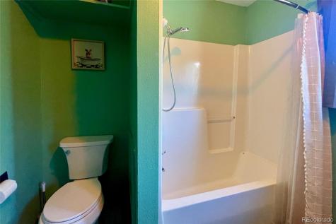 2210 Lone Pine Crestone CO 81131