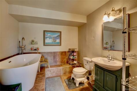 2210 Lone Pine Crestone CO 81131