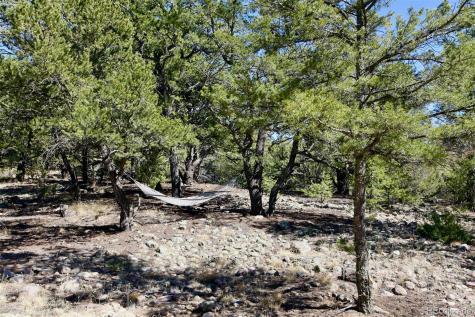 2210 Lone Pine Crestone CO 81131
