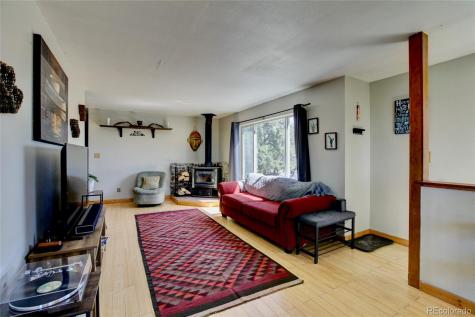 2210 Lone Pine Crestone CO 81131