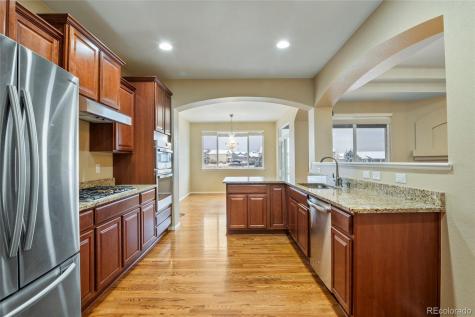 3932 Desert Ridge Circle Castle Rock CO 80108