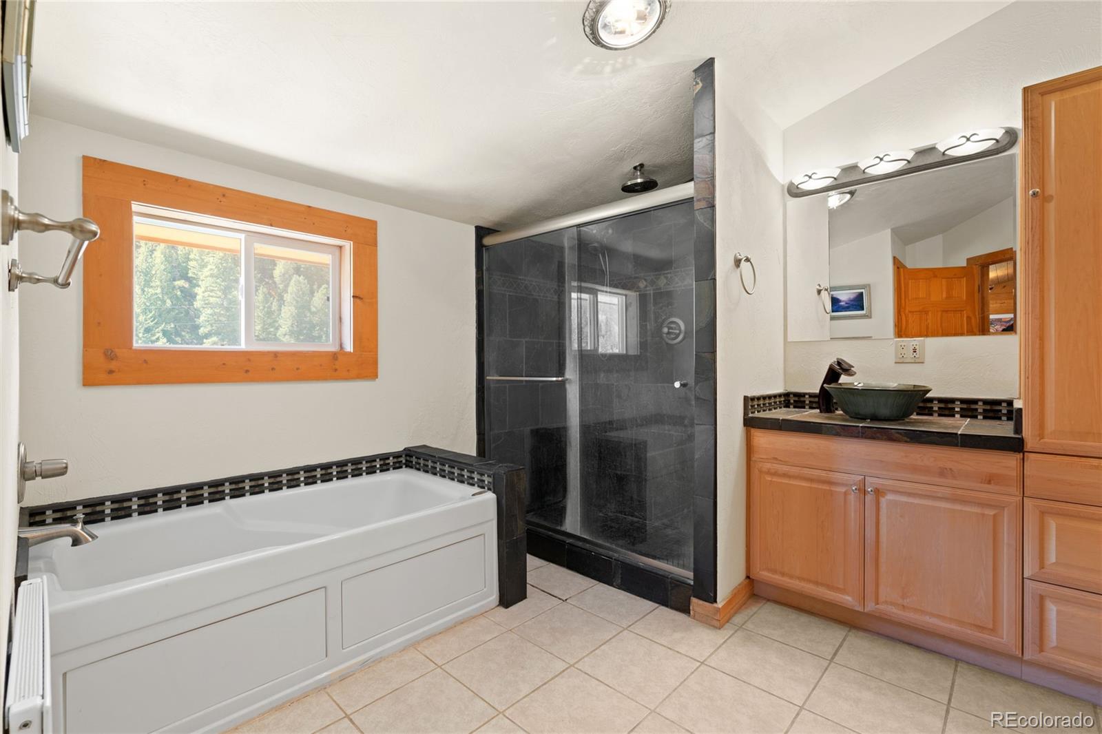 644 Mill Creek Road Idaho Springs CO 80436