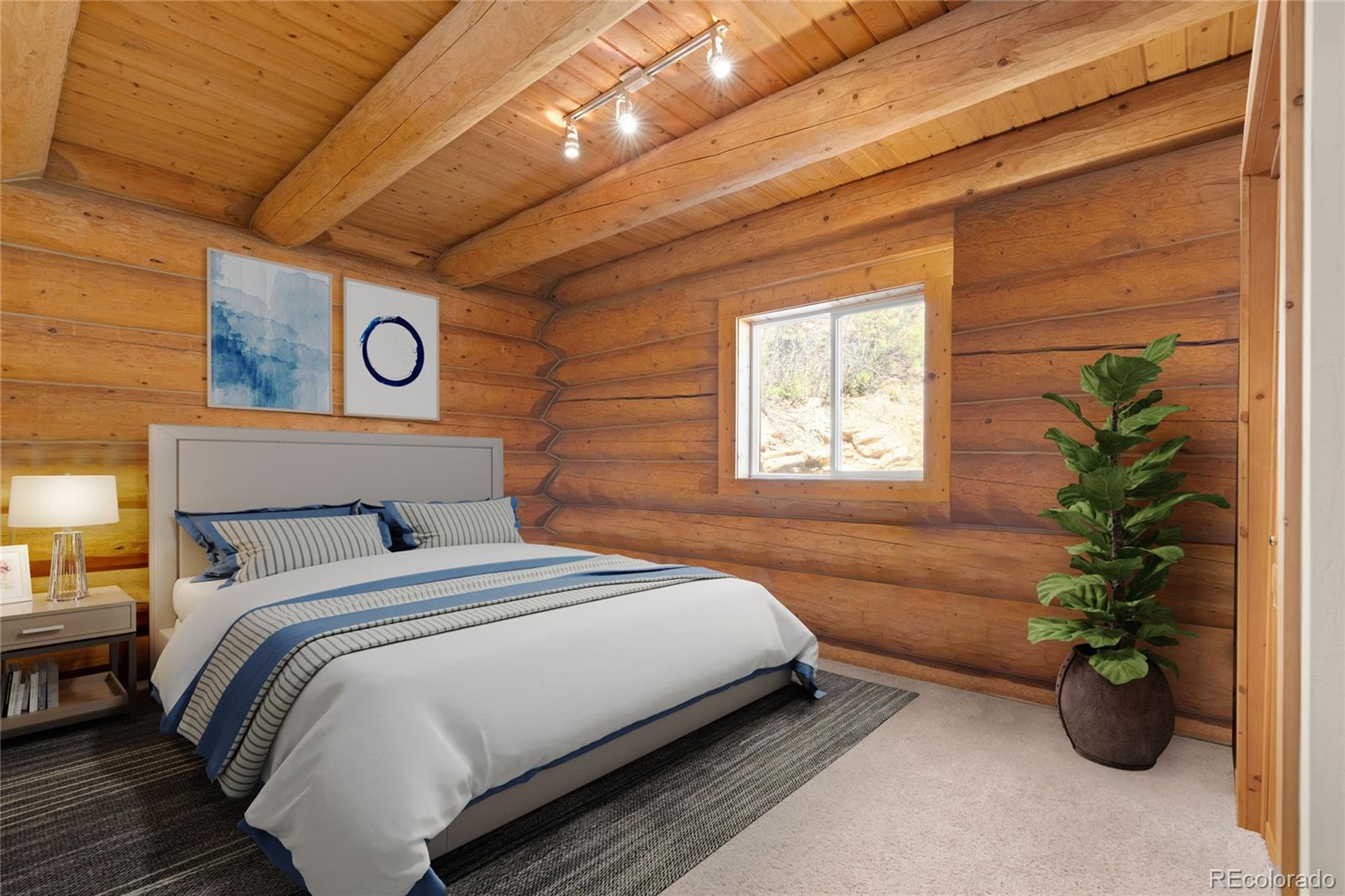 644 Mill Creek Road Idaho Springs CO 80436