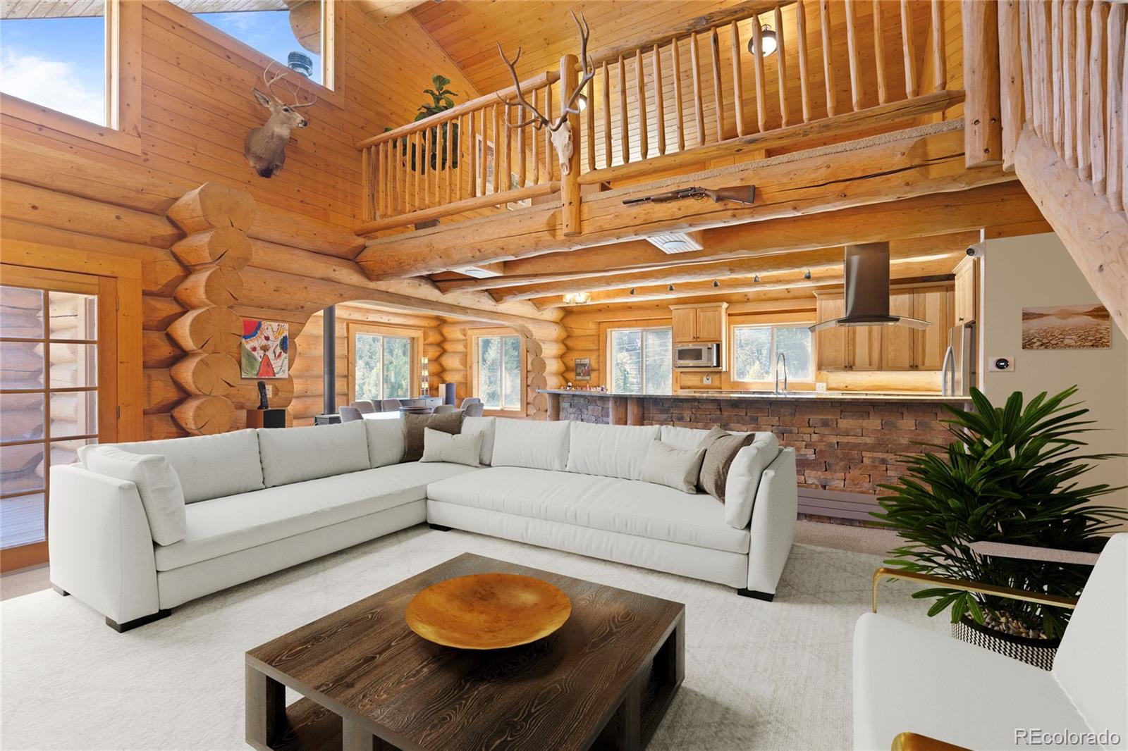 644 Mill Creek Road Idaho Springs CO 80436