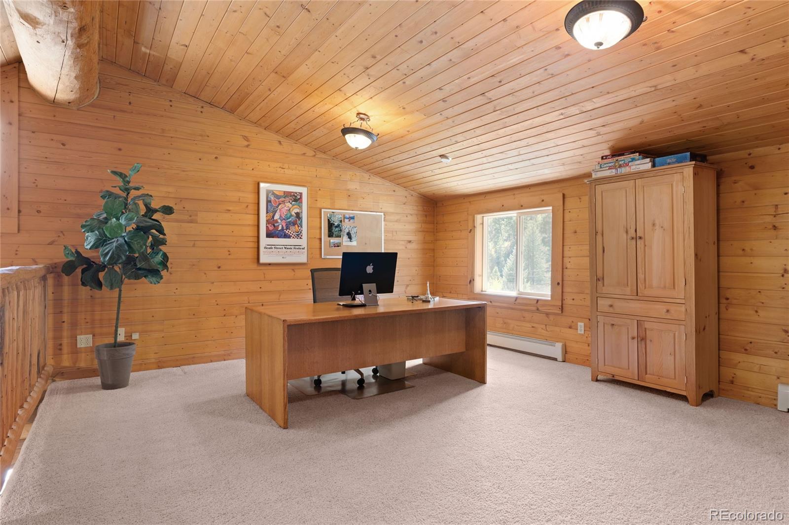 644 Mill Creek Road Idaho Springs CO 80436
