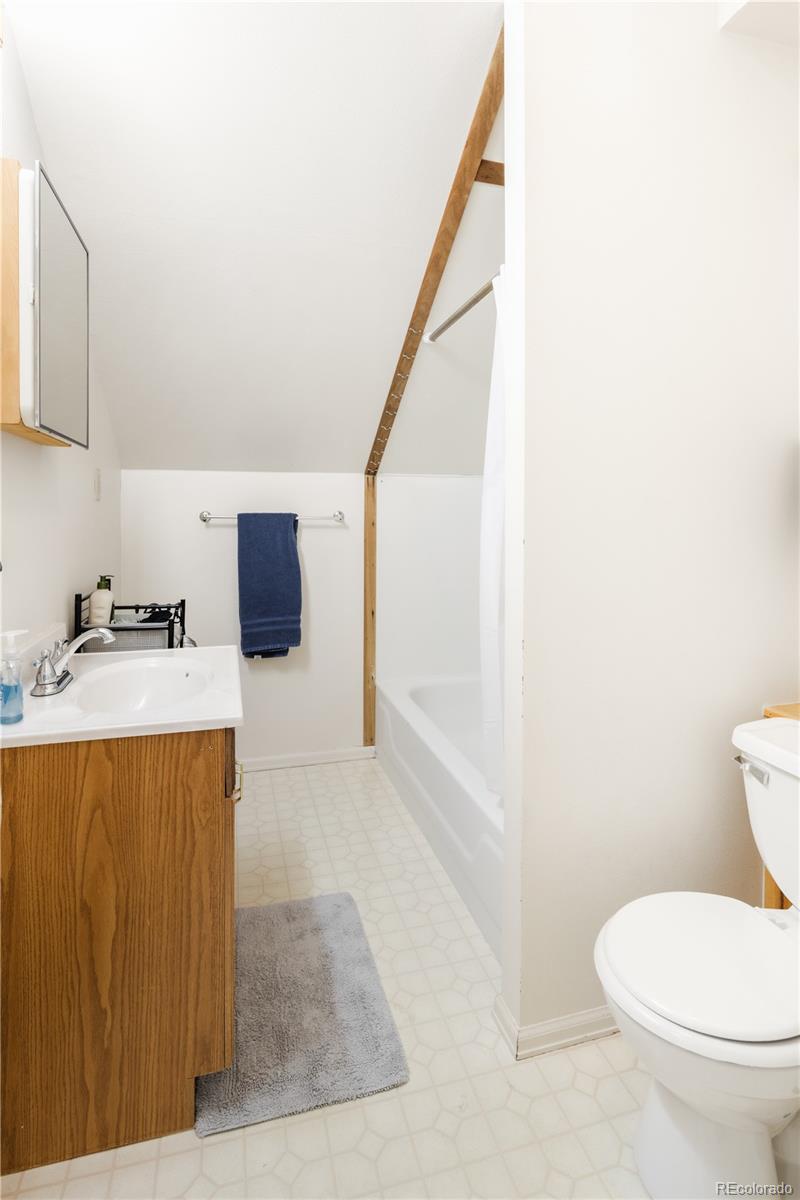 217 E 8th Street Leadville CO 80461
