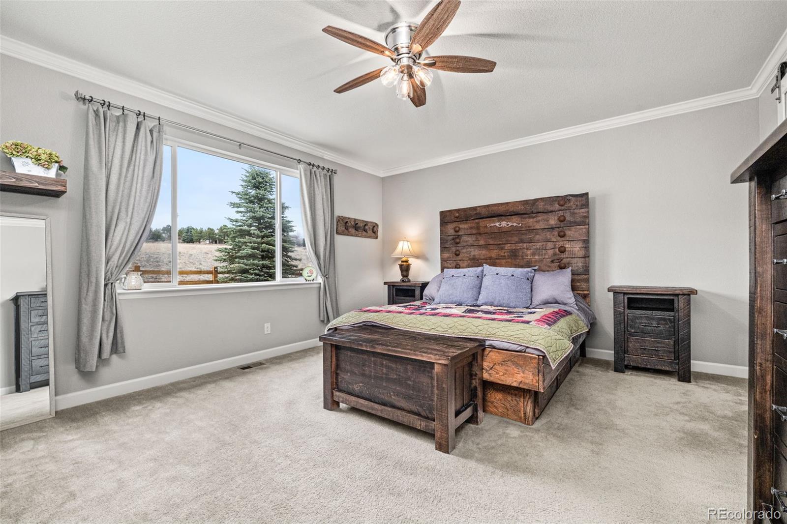 6749 Mentha Drive Castle Rock CO 80108