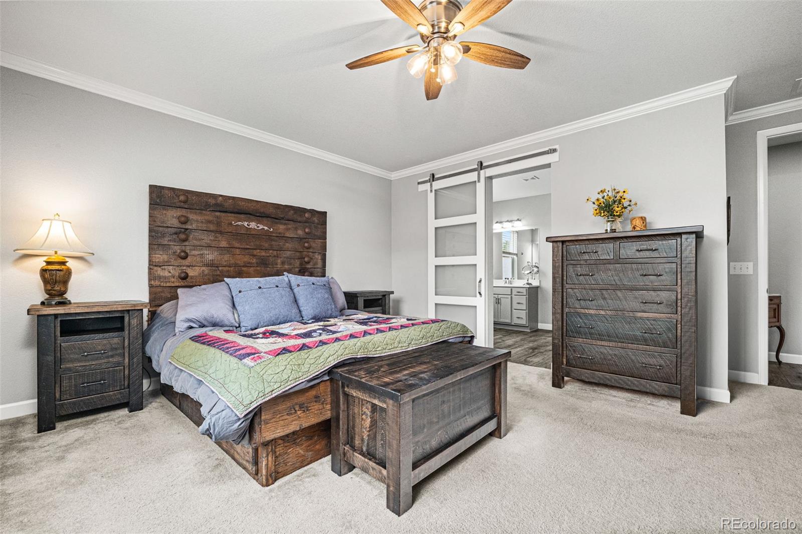 6749 Mentha Drive Castle Rock CO 80108