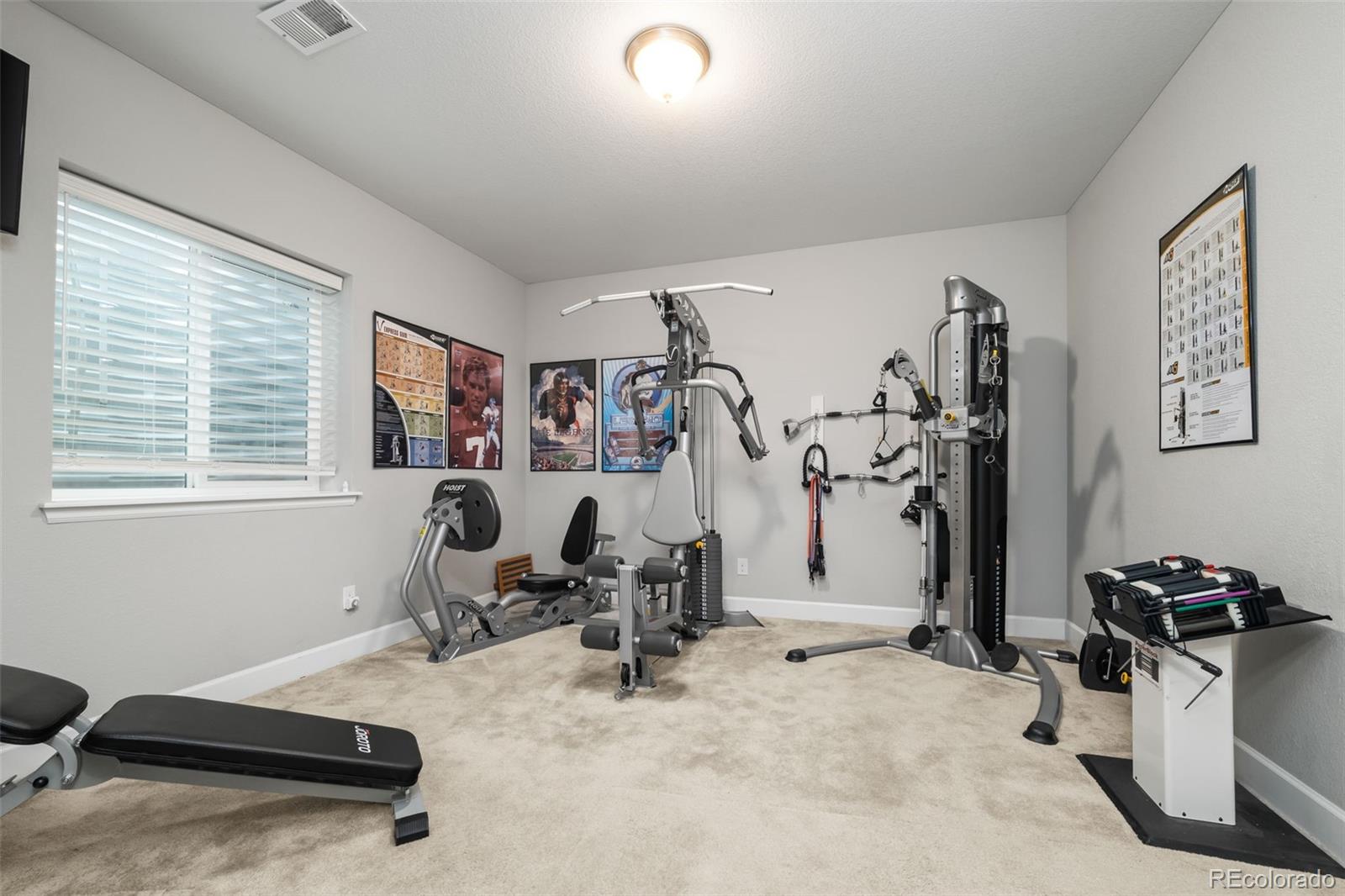 6749 Mentha Drive Castle Rock CO 80108