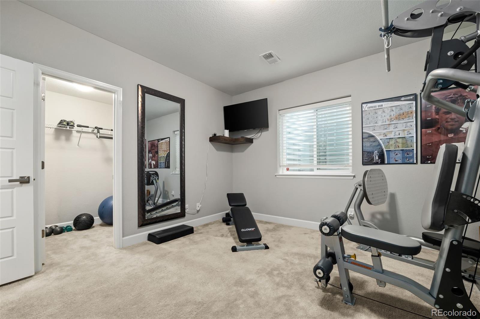 6749 Mentha Drive Castle Rock CO 80108